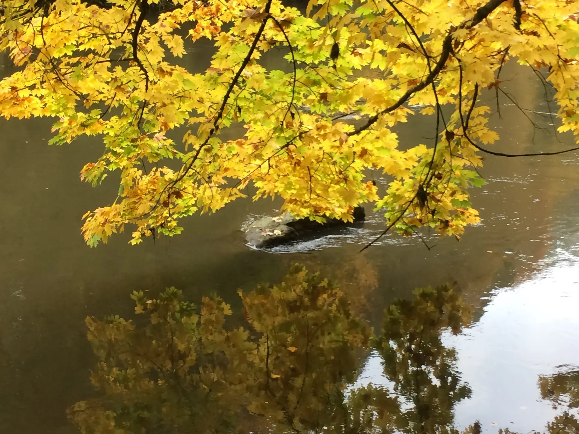 © DAV Zwickau/Torsten Flammiger