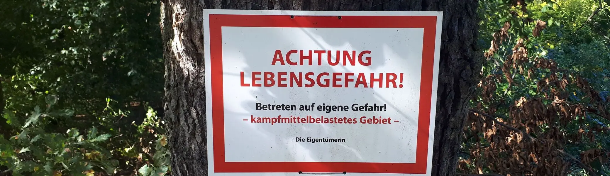 © DAV Zwickau/Torsten Flammiger