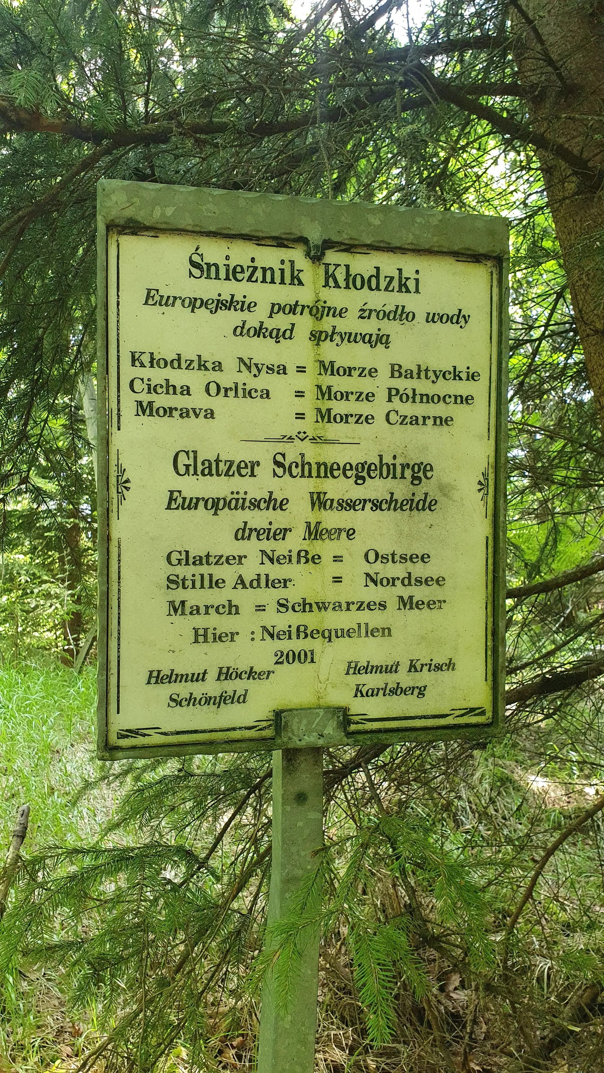 © DAV Zwickau/André Hößler