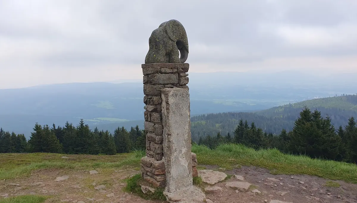 © DAV Zwickau/André Hößler
