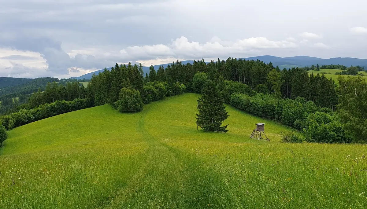© DAV Zwickau/André Hößler