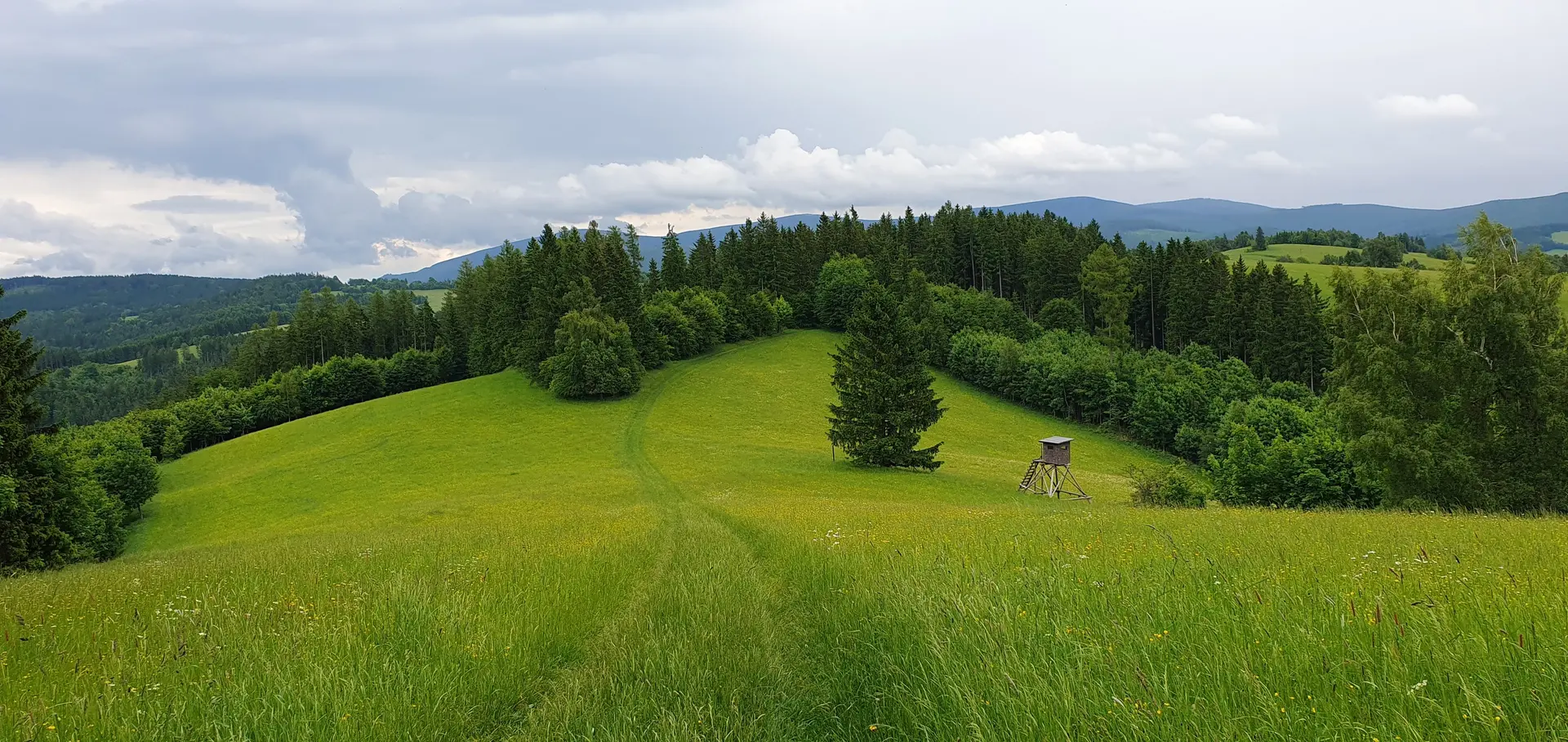 © DAV Zwickau/André Hößler